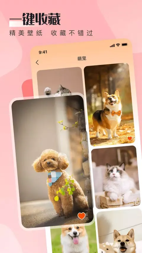 WalP 壁纸 Screenshots