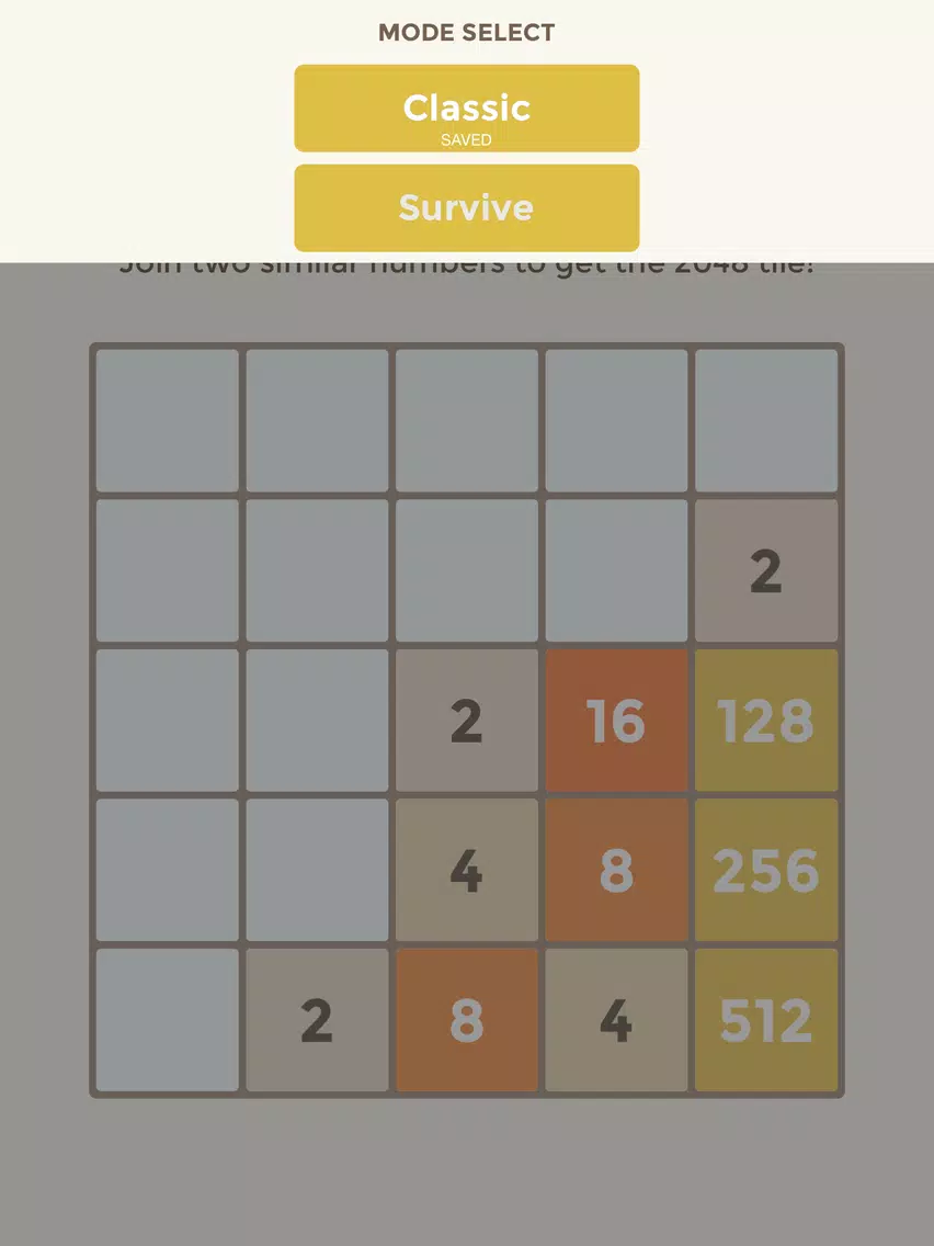 Tangkapan layar 2048 5x5 iPad 
