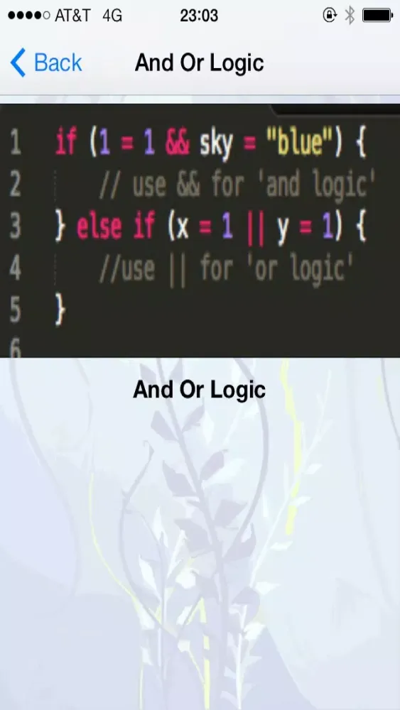 JavaScript Tutorial and Flashcards Screenshots