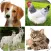 Animals names in Polish