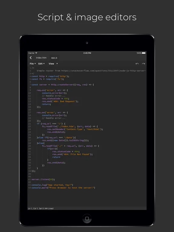 Tangkapan layar Node.js Lab iPad 