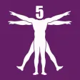 5Componentes