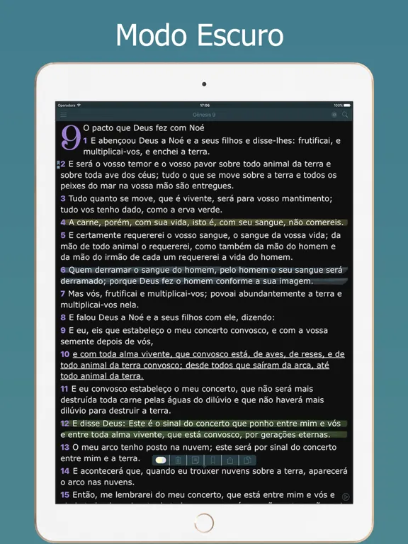 تصاویر Bíblia Sagrada Almeida e Audio iPad 