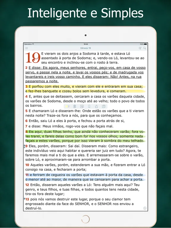 Bíblia Sagrada Evangélica iPad 应用截图