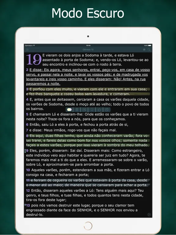 Bíblia Sagrada Evangélica iPad 应用截图