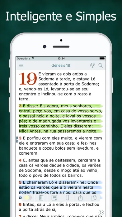 Bíblia Sagrada Evangélica应用截图