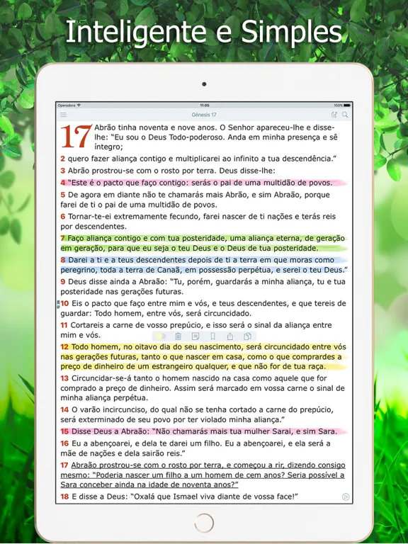 Bíblia Ave Maria de Estudo iPad  Screenshots