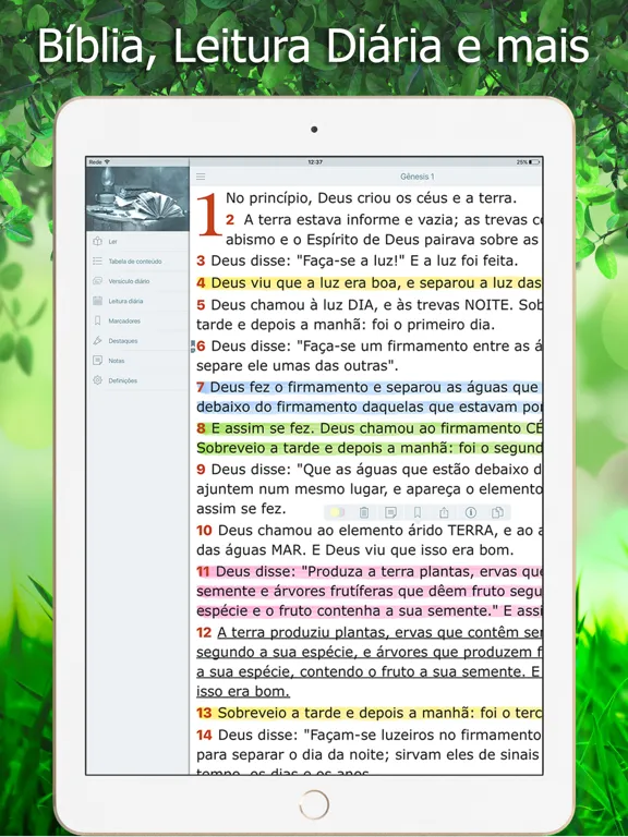 Bíblia Ave Maria de Estudo iPad  Screenshots