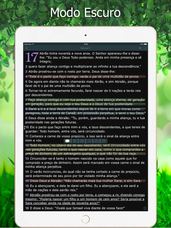 Bíblia Ave Maria de Estudo iPad  Screenshots