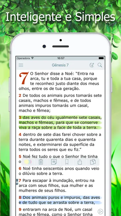 Bíblia Ave Maria de Estudo Screenshots