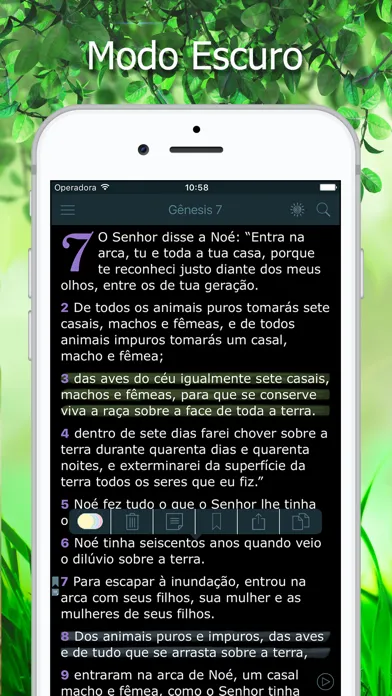 Bíblia Ave Maria de Estudo Screenshots