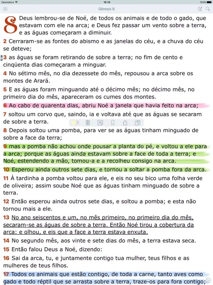 Bíblia Evangelica Antigo Testamento. Audio Biblia Almeida iPad  سکرین شاٹس