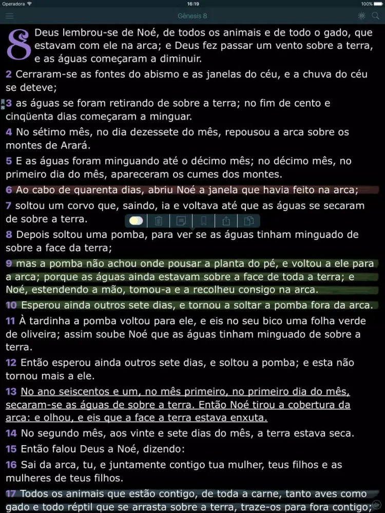 Bíblia Evangelica Antigo Testamento. Audio Biblia Almeida iPad  سکرین شاٹس