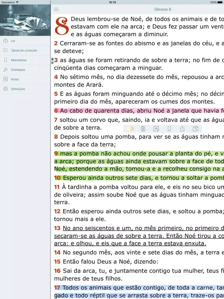 Bíblia Evangelica Antigo Testamento. Audio Biblia Almeida iPad  سکرین شاٹس
