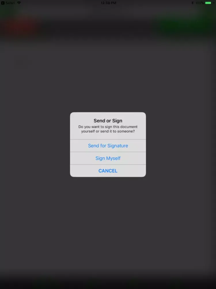 Zrzuty ekranu NowYouSign iPad 