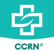 CCRN Test Prep 2024