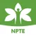NPTE