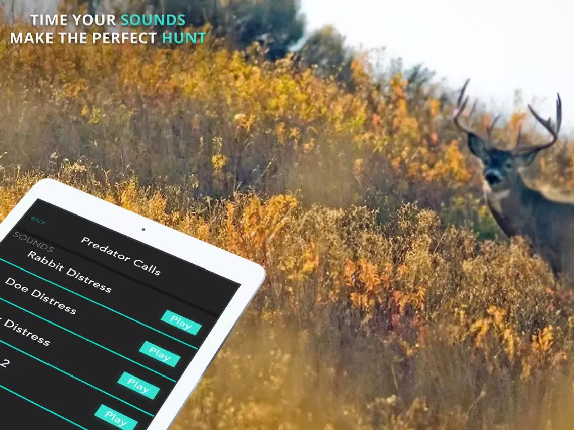 تصاویر Predator & Coyote Calls/Sounds iPad 