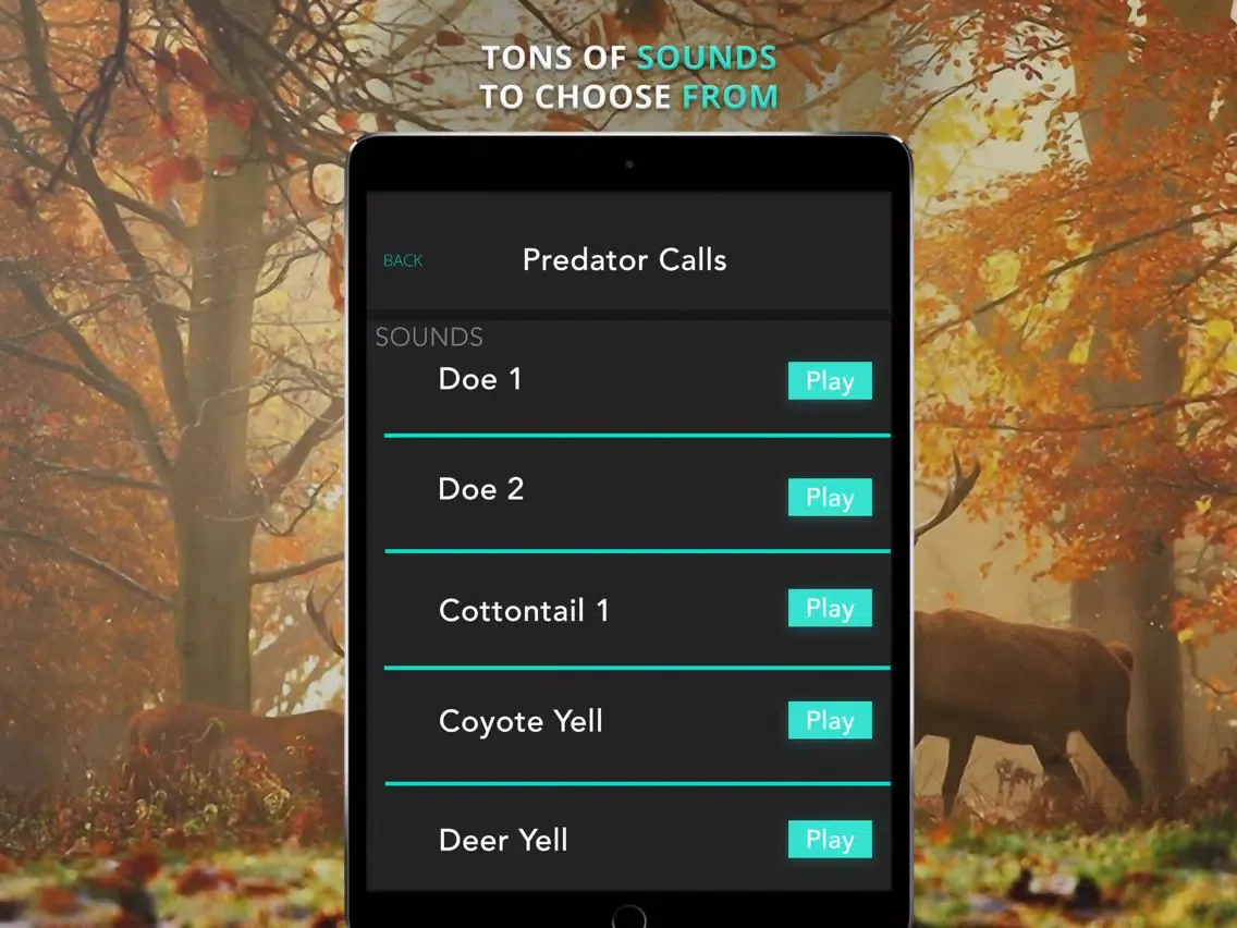 تصاویر Predator & Coyote Calls/Sounds iPad 