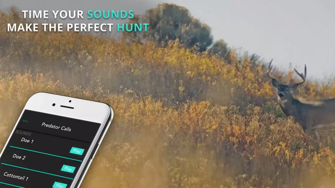 تصاویر Predator & Coyote Calls/Sounds