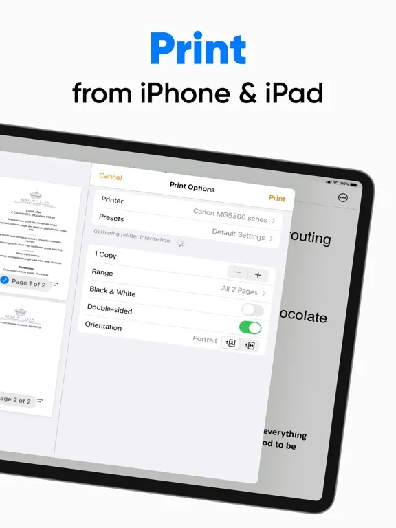 Tangkapan layar Air Printer: Print + Scan iPad 