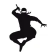 Scan Ninja