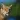 Lynx sounds