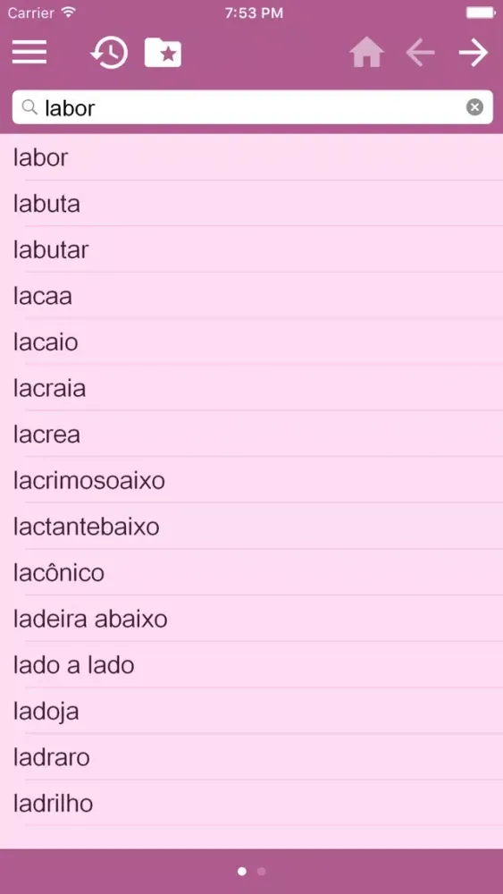 English-Portuguese Dictionary Screenshots
