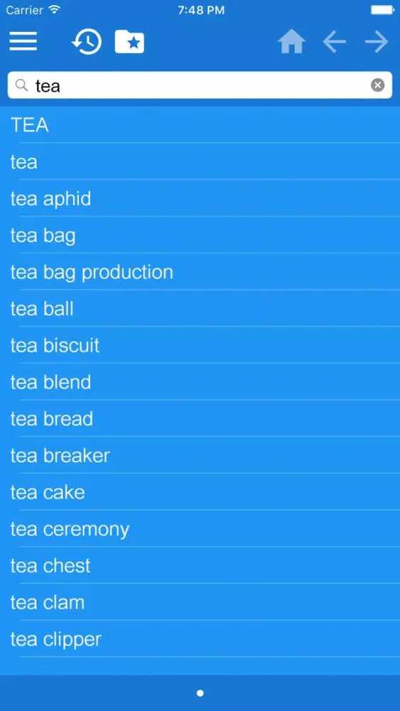 English-Russian Dictionary Free スクリーンショット