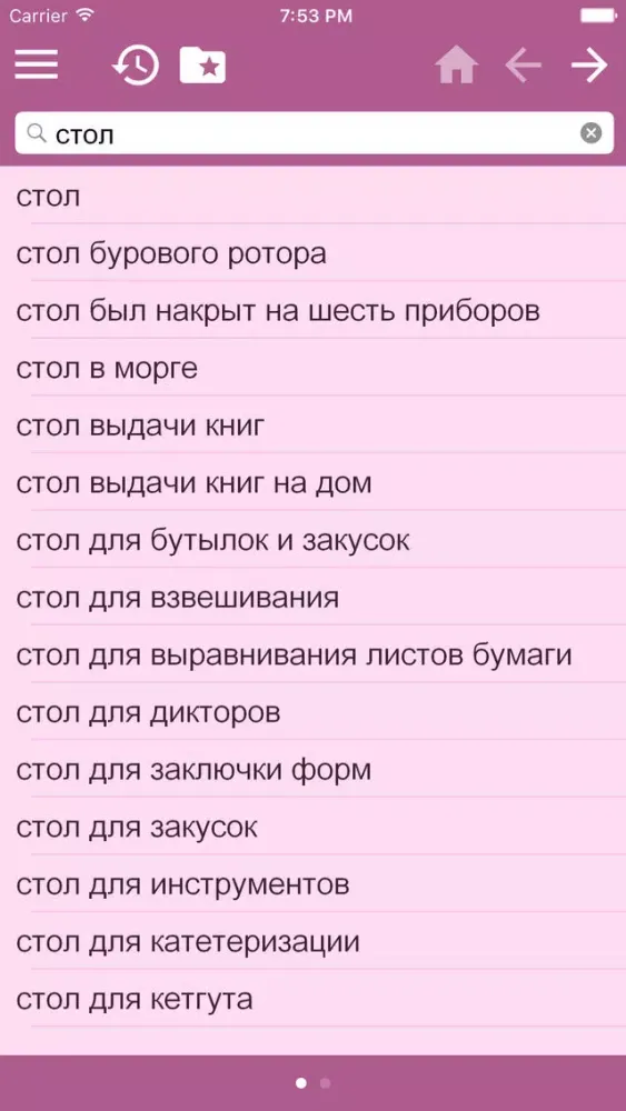 English-Russian Dictionary Free スクリーンショット