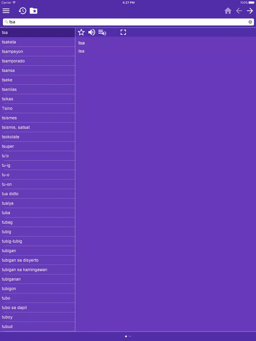 English Visayan Dictionary iPad 应用截图