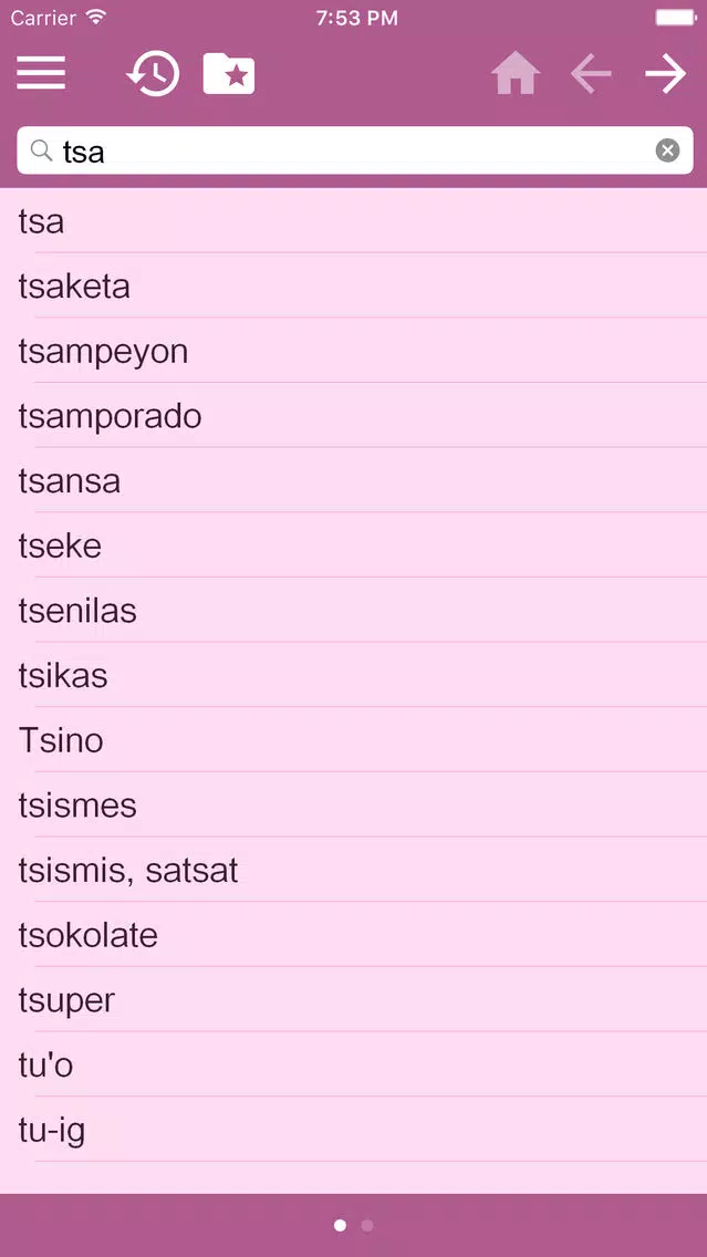 English Visayan Dictionary应用截图