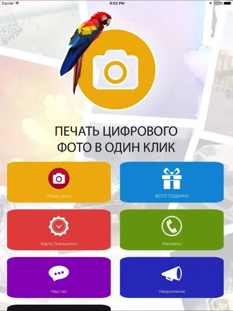 Foto16 - Цифровая Печать фотографий iPad 應用截圖