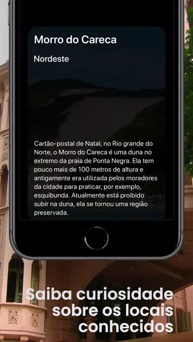 Screenshot di The Pilgrims