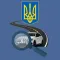 Проверка авто Украина