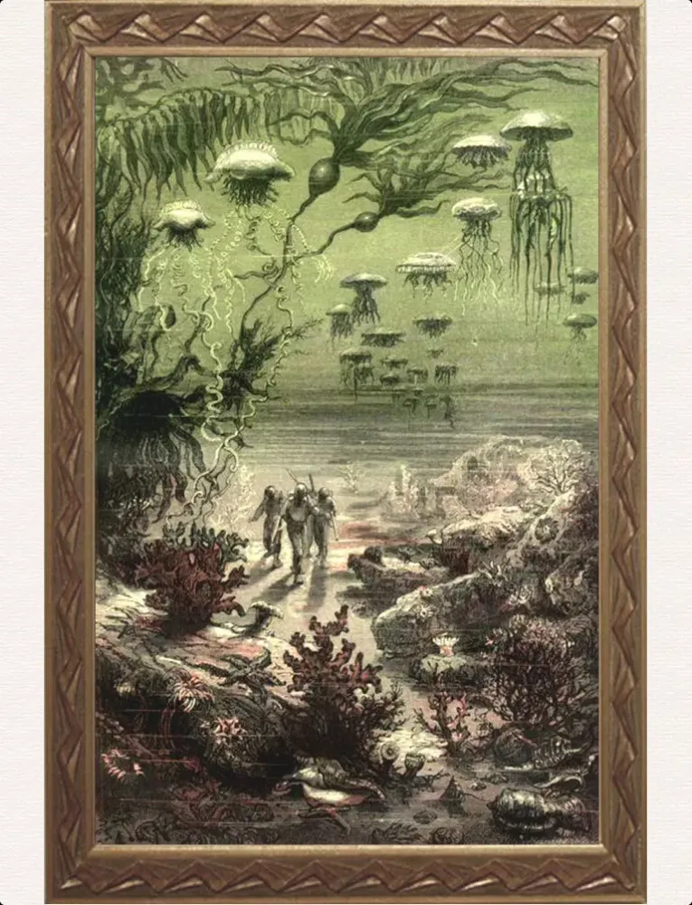 تصاویر Vingt Mille Lieues sous les Mers (+ Illustrations) iPad 