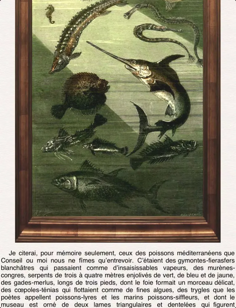 تصاویر Vingt Mille Lieues sous les Mers (+ Illustrations) iPad 