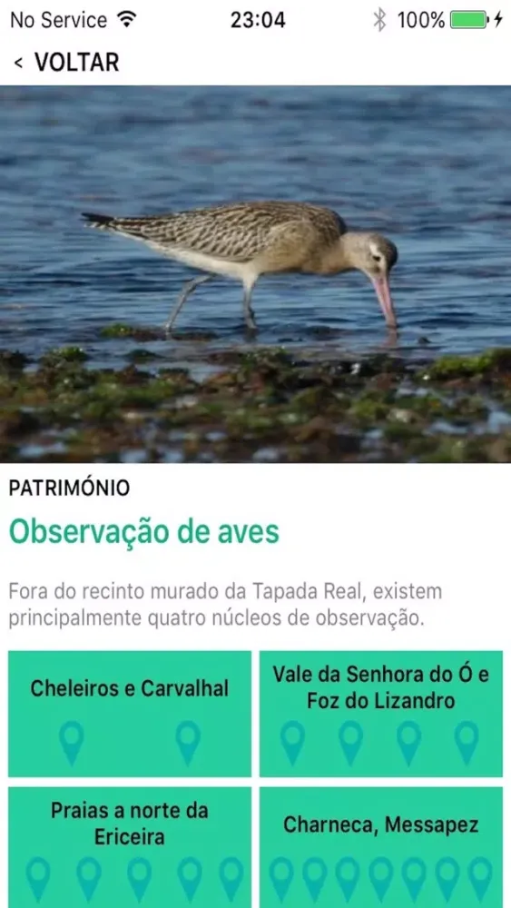 Captures d'écran de Mafra Guia Turistico