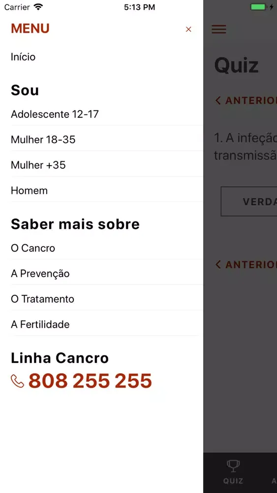 ภาพหน้าจอของ HPV e Cancro do Colo do Útero