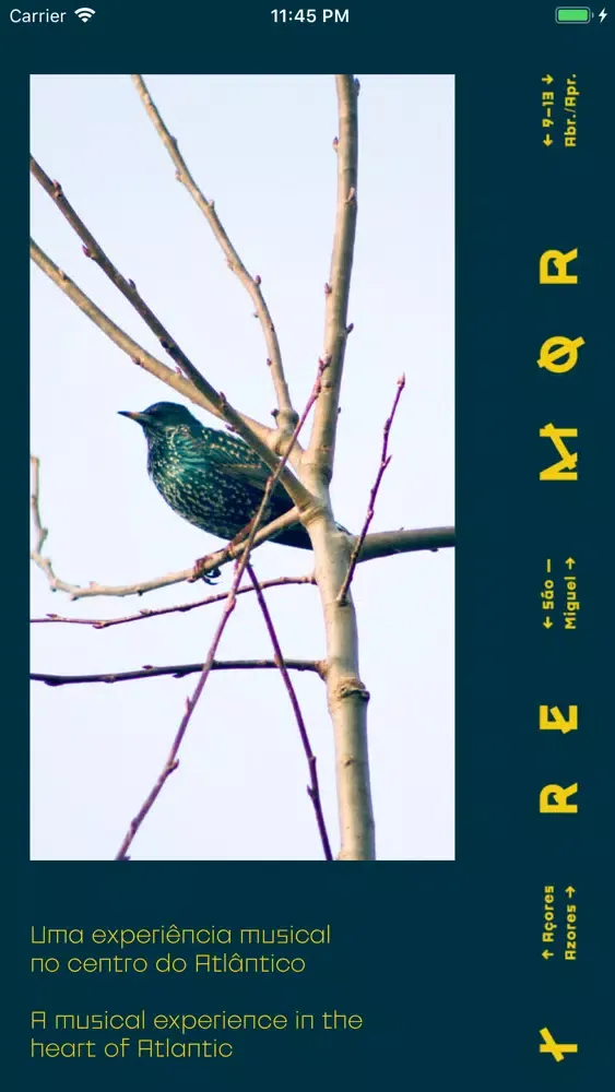 Zrzuty ekranu Tremor 2019