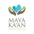 Maya Ka'an Travel