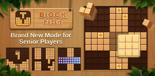 QBlock: Wood Block Puzzle Game应用截图