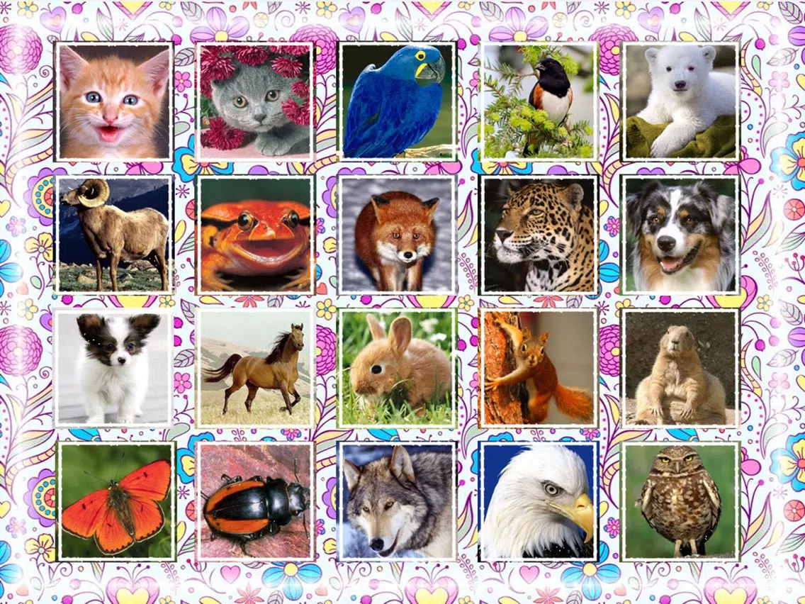 Capturas de tela do Puzzle game kids age 2-3 years iPad 