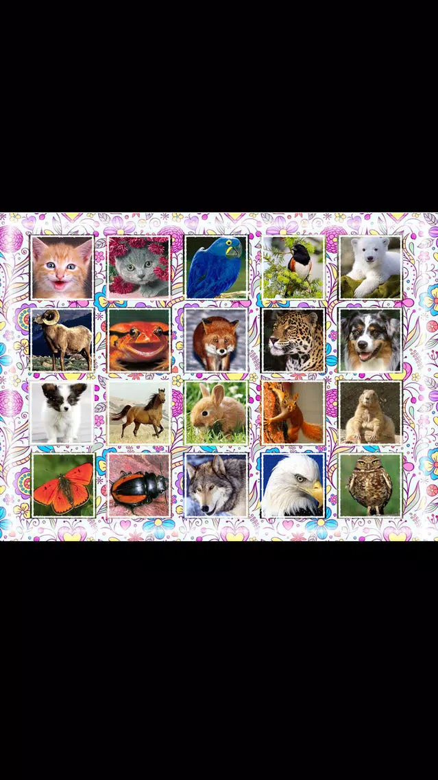 Capturas de tela do Puzzle game kids age 2-3 years