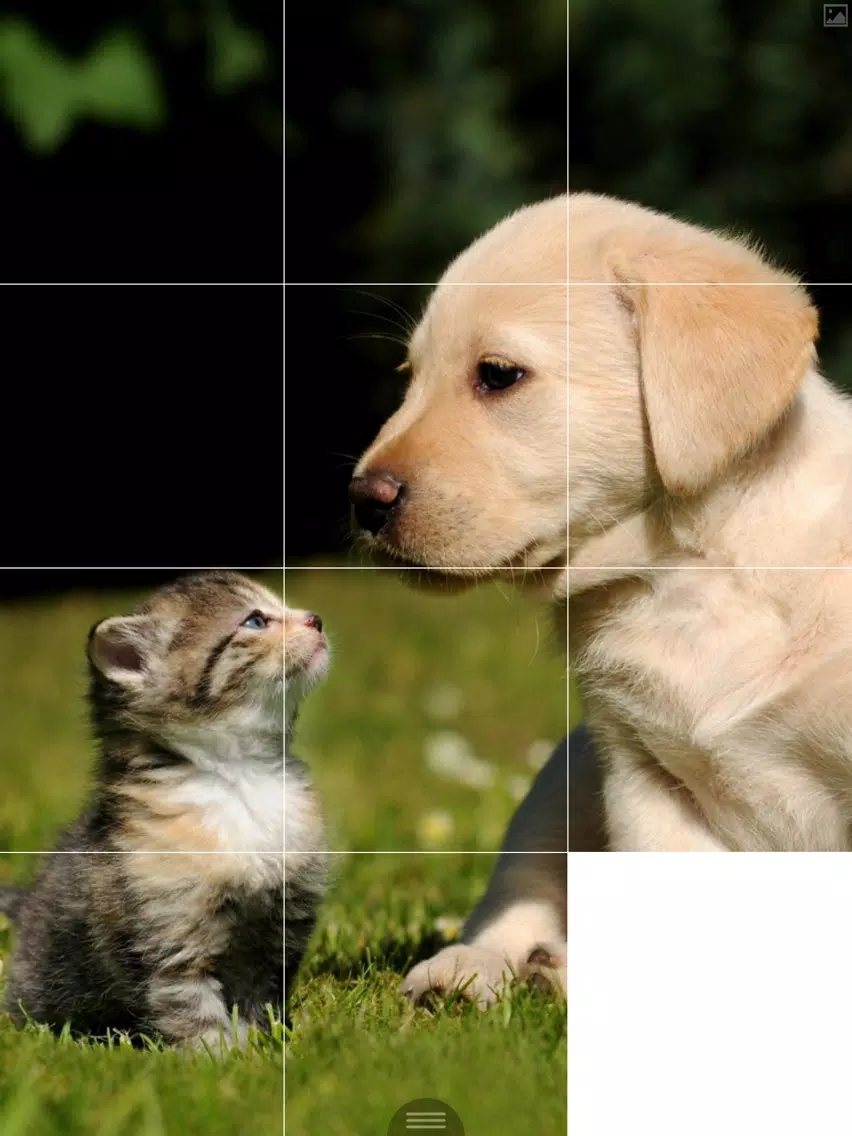 Ảnh chụp màn hình của Puzzle Maker iPad 