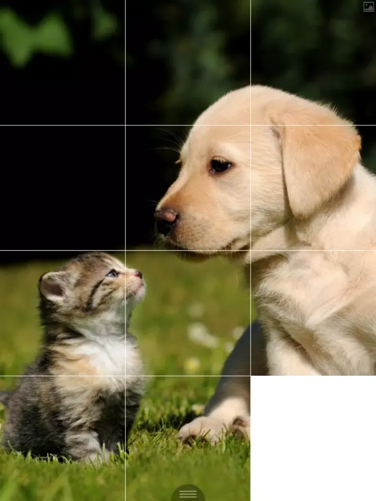 Puzzle Maker iPad 应用截图