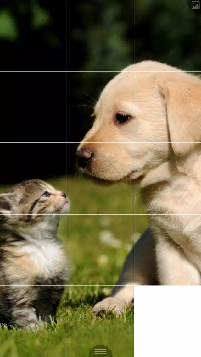 Ảnh chụp màn hình của Puzzle Maker