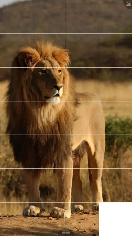 Puzzle Maker应用截图