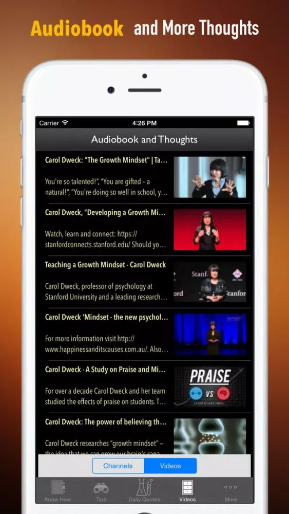 Mindset: The New Psychology of Success Screenshots