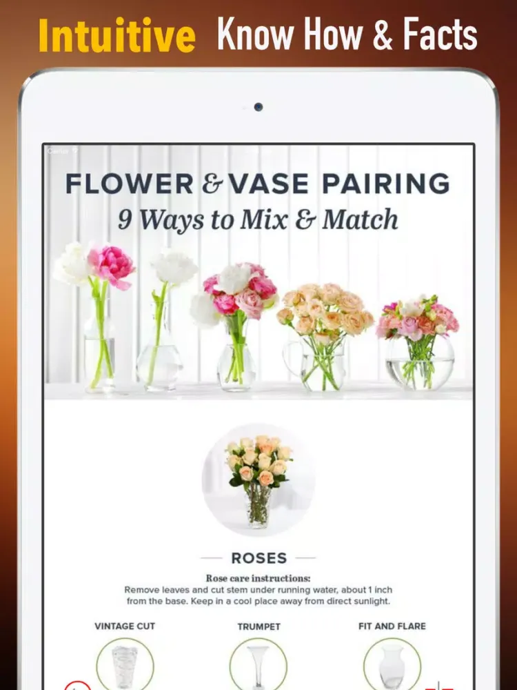 DIY Flower Arranging for Beginners:Guide and Tips iPad  Screenshots
